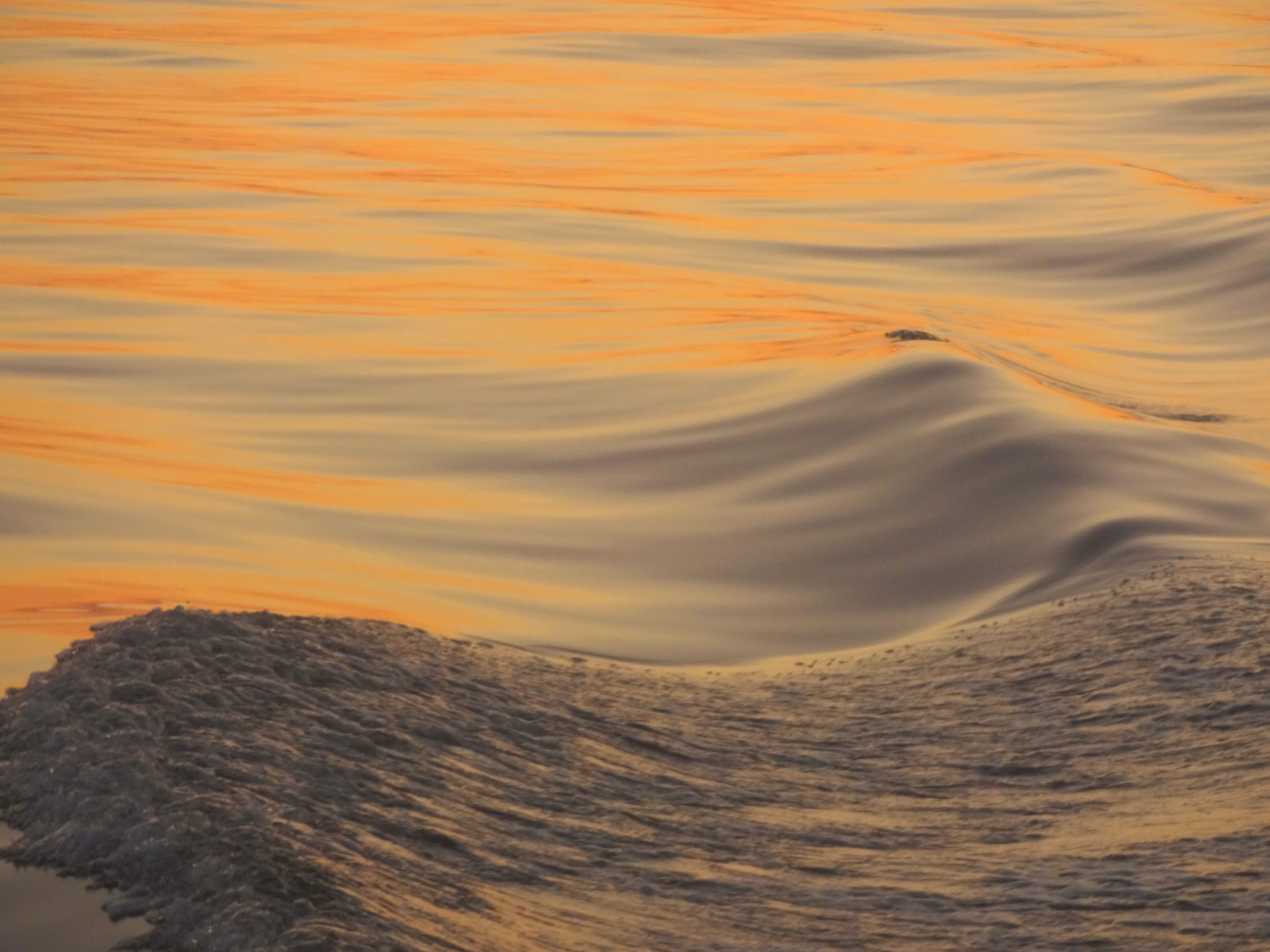 Helen Crewe - Professional trainer with 19 years experience